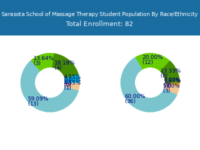 Sarasota School of Massage Therapy 2025 Student Population by Gender and Race chart