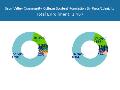 Sauk Valley Community College 2025 Student Population by Gender and Race chart