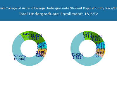 Savannah College of Art and Design 2025 Undergraduate Enrollment by Gender and Race chart
