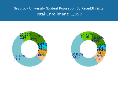 Saybrook University 2025 Student Population by Gender and Race chart