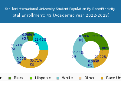 Schiller International University 2023 Student Population by Gender and Race chart