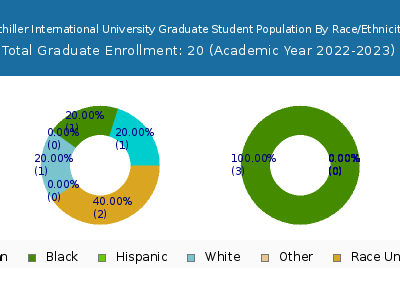 Schiller International University 2023 Graduate Enrollment by Gender and Race chart