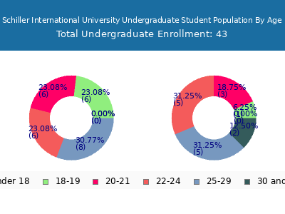 Schiller International University 2025 Undergraduate Enrollment Age Diversity Pie chart