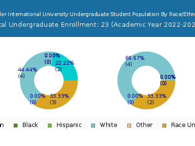 Schiller International University 2023 Undergraduate Enrollment by Gender and Race chart