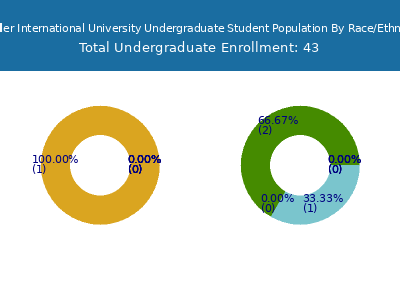 Schiller International University 2025 Undergraduate Enrollment by Gender and Race chart