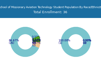 School of Missionary Aviation Technology 2025 Student Population by Gender and Race chart