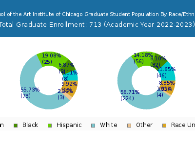 School of the Art Institute of Chicago 2023 Graduate Enrollment by Gender and Race chart