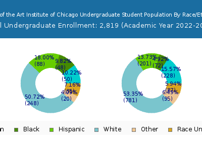 School of the Art Institute of Chicago 2023 Undergraduate Enrollment by Gender and Race chart