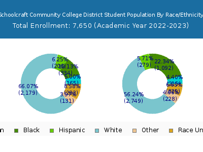 Schoolcraft Community College District 2023 Student Population by Gender and Race chart