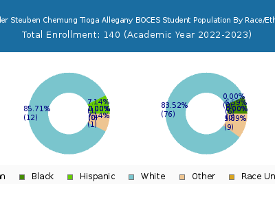 Schuyler Steuben Chemung Tioga Allegany BOCES 2023 Student Population by Gender and Race chart