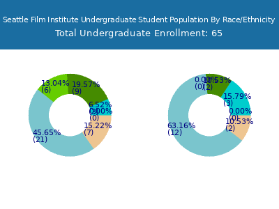 Seattle Film Institute 2025 Undergraduate Enrollment by Gender and Race chart
