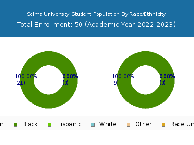 Selma University 2023 Student Population by Gender and Race chart
