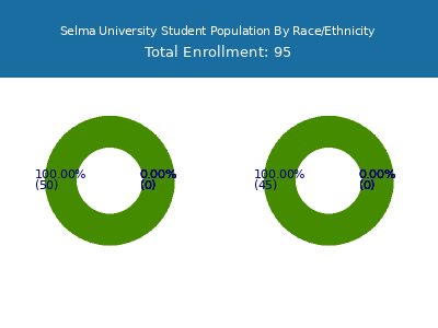 Selma University 2025 Student Population by Gender and Race chart
