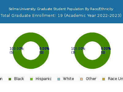 Selma University 2023 Graduate Enrollment by Gender and Race chart