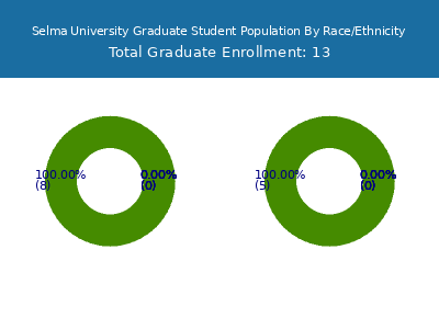 Selma University 2025 Graduate Enrollment by Gender and Race chart