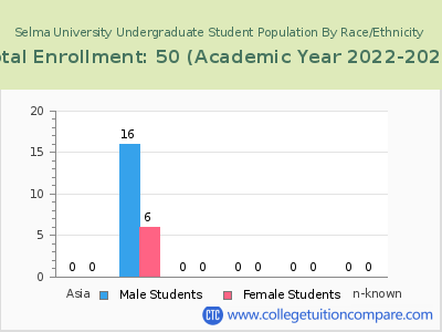 Selma University 2023 Undergraduate Enrollment by Gender and Race chart