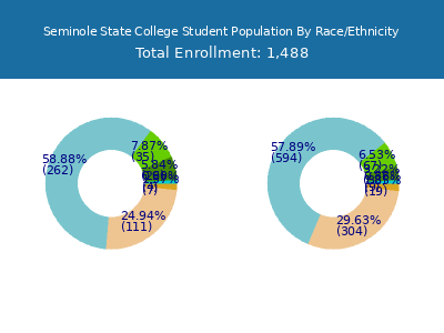 Seminole State College 2025 Student Population by Gender and Race chart