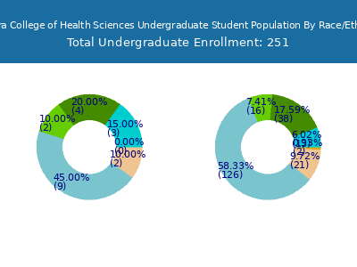 Sentara College of Health Sciences 2025 Undergraduate Enrollment by Gender and Race chart