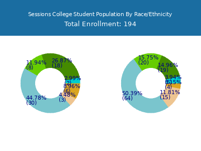 Sessions College 2025 Student Population by Gender and Race chart