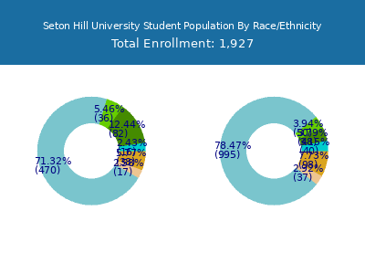 Seton Hill University 2025 Student Population by Gender and Race chart