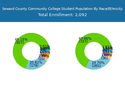 Seward County Community College 2025 Student Population by Gender and Race chart
