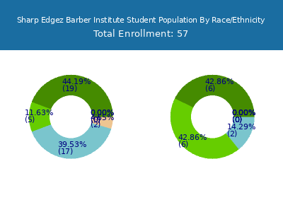 Sharp Edgez Barber Institute 2025 Student Population by Gender and Race chart