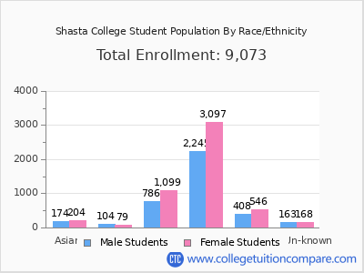 Shasta College 2025 Student Population by Gender and Race chart