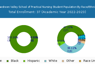 Shawsheen Valley School of Practical Nursing 2023 Student Population by Gender and Race chart