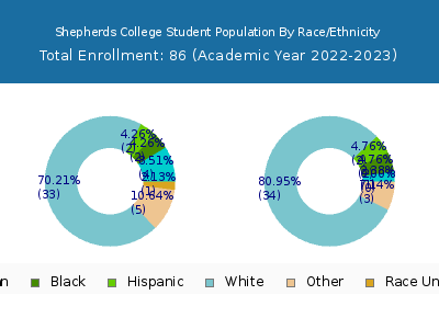 Shepherds College 2023 Student Population by Gender and Race chart