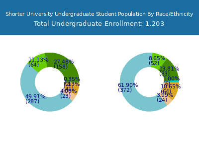 Shorter University 2025 Undergraduate Enrollment by Gender and Race chart