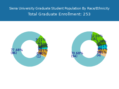 Siena University 2025 Graduate Enrollment by Gender and Race chart