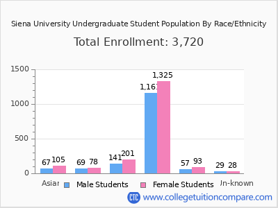 Siena University 2025 Undergraduate Enrollment by Gender and Race chart