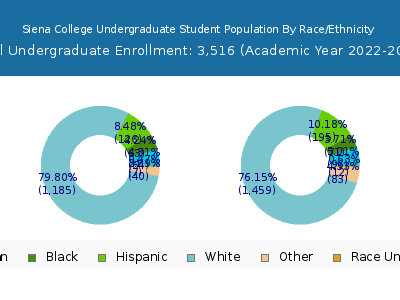 Siena College 2023 Undergraduate Enrollment by Gender and Race chart