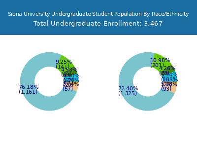 Siena University 2025 Undergraduate Enrollment by Gender and Race chart