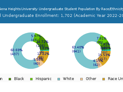 Siena Heights University 2023 Undergraduate Enrollment by Gender and Race chart