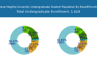 Siena Heights University 2025 Undergraduate Enrollment by Gender and Race chart