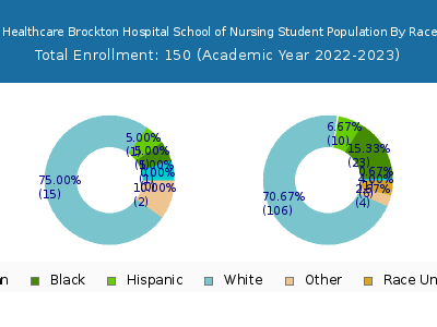 Signature Healthcare Brockton Hospital School of Nursing 2023 Student Population by Gender and Race chart