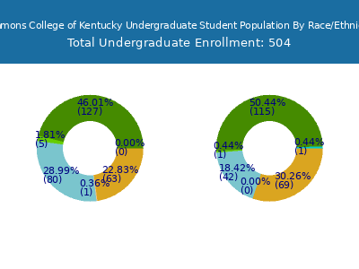 Simmons College of Kentucky 2025 Undergraduate Enrollment by Gender and Race chart