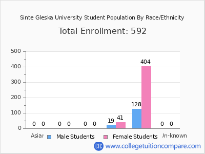Sinte Gleska University 2025 Student Population by Gender and Race chart