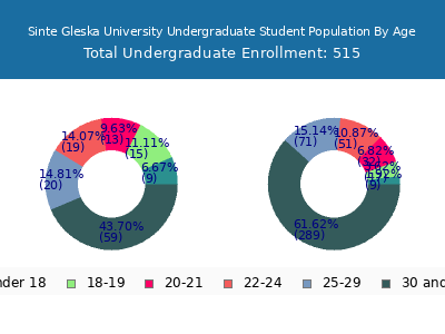 Sinte Gleska University 2024 Undergraduate Enrollment Age Diversity Pie chart