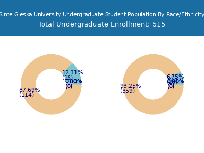 Sinte Gleska University 2025 Undergraduate Enrollment by Gender and Race chart