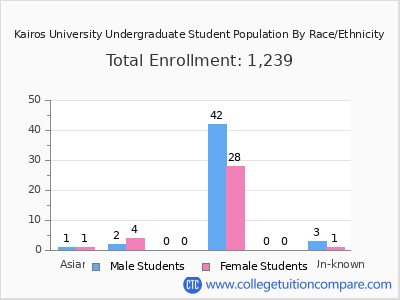 Kairos University 2025 Undergraduate Enrollment by Gender and Race chart