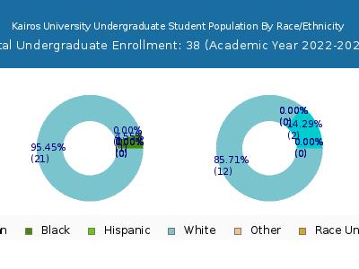 Kairos University 2023 Undergraduate Enrollment by Gender and Race chart