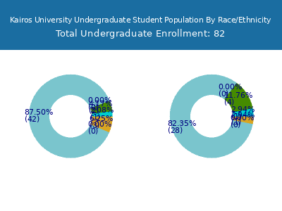 Kairos University 2025 Undergraduate Enrollment by Gender and Race chart