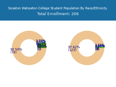 Sisseton Wahpeton College 2025 Student Population by Gender and Race chart