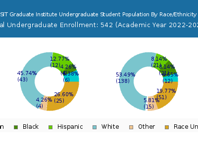 SIT Graduate Institute 2023 Undergraduate Enrollment by Gender and Race chart