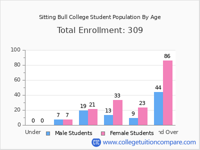 Sitting Bull College 2024 Student Population by Age chart
