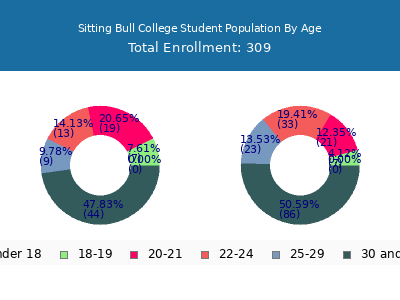 Sitting Bull College 2024 Student Population Age Diversity Pie chart