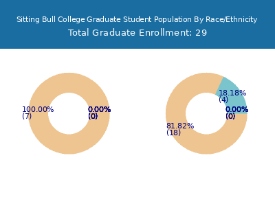 Sitting Bull College 2025 Graduate Enrollment by Gender and Race chart