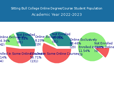 Sitting Bull College 2023 Online Student Population chart